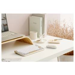 Asus KW100 KEYBOARD/BG/GE/81 klávesnice, přenos Bluetooth®, béžová, šedá, bílá