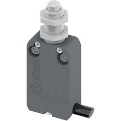Pizzato Elettrica NF B110EB-DN2 NF B110EB-DN2 koncový spínač 250 V/AC 4 A zdvihátko bez aretace IP67 1 ks