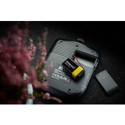 Intenso 7501451 baterie 9 V alkalicko-manganová 560 mAh 9 V 1 ks