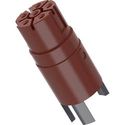 LAPP EPIC® POWER M23 5+PE FEMALE 24441168 20 ks