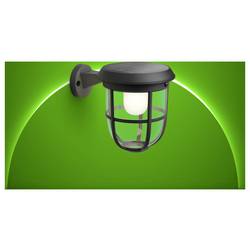 Philips LED Radii 8720169267176 venkovní solární nástěnné osvětlení s PIR senzorem LED 1.3 W černá