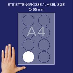 Avery-Zweckform J4881-20 štítek se jménem Kennzeichnungsetiketten (š x v) 65 mm x 65 mm 160 ks
