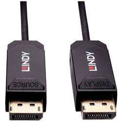 LINDY DisplayPort kabel Konektor DisplayPort 10.00 m černá 38520 Kabel DisplayPort