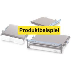 OKI transferový pásek transferová páska Transfer Belt C710 C5500 C5550 C5600 C5700 C5800 C5850 C5900 43363412 originál 60000 Seiten