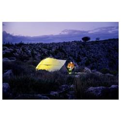 Ledlenser HF4 Black LED čelovka, na baterii, 450 lm, 2.5 h, 503316