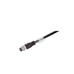 Weidmüller IE-C5DB4RE0015MCSXXX-X datový zástrčkový konektor pro senzory - aktory, upravený, 1010840015, 1.5 m, 1 ks