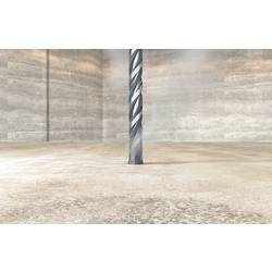Fischer 531840 příklepový vrták 18 mm Celková délka 1000 mm SDS plus 1 ks