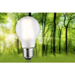 Paulmann 29224 LED Energetická třída (EEK2021) A (A - G) E27 klasická žárovka 4 W teplá bílá (Ø x v) 60 mm x 106 mm vlákno 1 ks