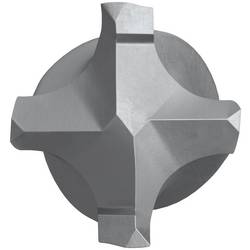 Fischer 549964 příklepový vrták 25 mm SDS plus 1 ks