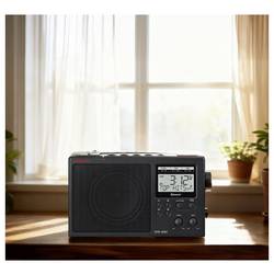 Sangean A500563 stolní rádio, DAB+, AM, FM, DAB+, Bluetooth, černá
