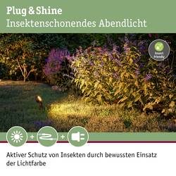 Paulmann P+S Spot Set Sting 2200K 94729 Osvětlovací systém Plug&Shine startovací sada LED zahradních reflektorů LED 18.9 W zlatá antracitová
