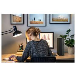 Asus pracovní stanice ExpertCenter P5 C5-210H 16 512 SF 210H 4.8 GHz 16 GB RAM 512 GB SSD Intel Intel grafika 90PF05A1-M00M50