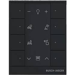 Busch-Jaeger 2CKA006220A0898 1 ks