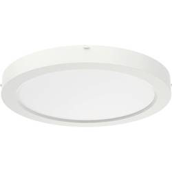 RIDI 322094 322094 LED stropní svítidlo LED Světelný zdroj není zaměnitelný 18 W bílá