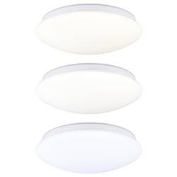 Paulmann 75407 Leonis II Dämmerungsgesteuerter Bewegungsmelder (HF) stropní svítidlo LED pevně vestavěné LED 16.5 W bílá