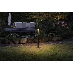 Paulmann P+S Poller Plate IP44 2200K 94723 Osvětlovací systém Plug&Shine LED zahradní reflektor LED 7 W zlatá antracitová