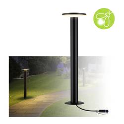 Paulmann P+S Poller Plate IP44 2200K 94723 Osvětlovací systém Plug&Shine LED zahradní reflektor LED 7 W zlatá antracitová