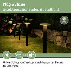 Paulmann P+S Poller Plate IP44 2200K 94723 Osvětlovací systém Plug&Shine LED zahradní reflektor LED 7 W zlatá antracitová