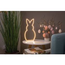 Paulmann FlexLED 3D 78963 LED pásek základní sada konektor 12 V 5 m teplá bílá 1 ks