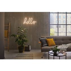 Paulmann FlexLED 3D 78963 LED pásek základní sada konektor 12 V 5 m teplá bílá 1 ks