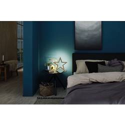 Paulmann FlexLED 3D 78963 LED pásek základní sada konektor 12 V 5 m teplá bílá 1 ks