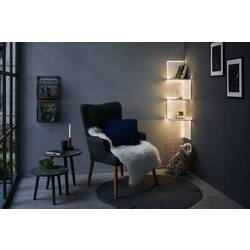 Paulmann FlexLED 3D 78963 LED pásek základní sada konektor 12 V 5 m teplá bílá 1 ks