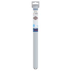 Bosch Accessories Bosch Power Tools 2608586995 příklepový vrták 18 mm Celková délka 300 mm SDS plus 1 ks