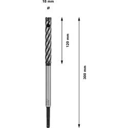 Bosch Accessories Bosch Power Tools 2608586995 příklepový vrták 18 mm Celková délka 300 mm SDS plus 1 ks