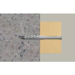 Fischer 46283 SXR 10 x 160 T A4 hmoždinka s dlouhým dříkem 160 mm 10 mm 50 ks