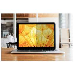 3M 3M Bright Screen Privacy Filter MB Air Privátní filtr na monitor (proti nežádoucímu odezírání) Formát obrazu: 16:10 BPNAP007
