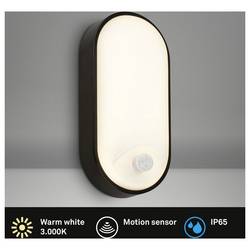 Briloner RUCH 3830015 nástěnné světlo s PIR detektorem LED Energetická třída (EEK2021): F (A - G) 12 W LED černá