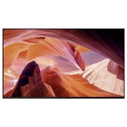 Sony Sony Bravia Professional Displays FWD-65 LED TV, 164 cm 65 palec, F (A - G), černá