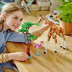 31150 LEGO® CREATOR Fari na zvířatech