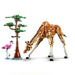 31150 LEGO® CREATOR Fari na zvířatech
