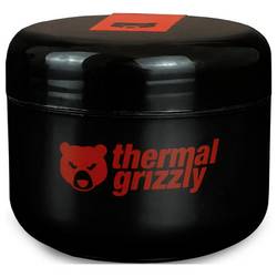 Thermal Grizzly Putty Advance TG-P-A-100-R teplovodivá pasta, 1 ks