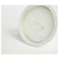 Venso LED lampa na rostliny Grow Lights Winter 150 mm E27 15 W denní bílá 1 ks