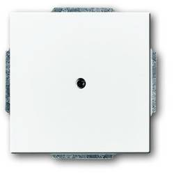 ABB kryt záslepka dopravní bílá, bílá 2CKA001710A3161 1 ks