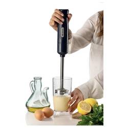 Ariete 00C060110AR0 stolní mixér 700 W černá