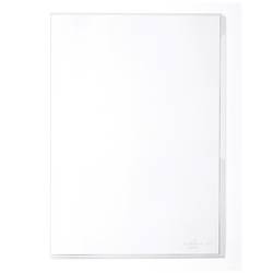 Durable průhledný obal BUSINESS A4 DIN A4 na výšku plast 0.15 mm 231519 100 ks