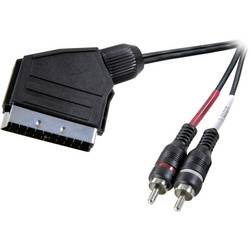 SpeaKa Professional SP-7870676 SCART / cinch audio kabel [1x SCART zástrčka - 2x cinch zástrčka] 2.00 m černá