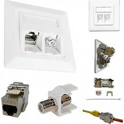 Kathrein ESN 300 síťová zásuvka pod omítku panel s čelní deskou a rámečkem CAT 6A čistě bílá (RAL 9010)