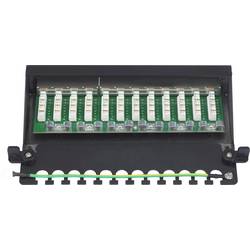 Renkforce 12 portů CAT 6A 1 U