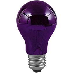 Paulmann 59070 UV žárovka E27 75 W