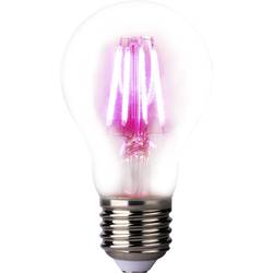 LightMe LED lampa na rostliny LM85320 109 mm 230 V E27 4 W Energetická třída (EEK2021): A (A - G) klasická žárovka 1 ks
